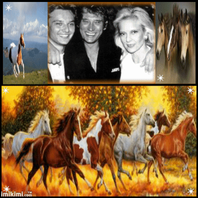 David johnny et sylvie