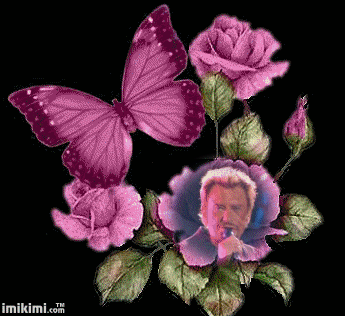 Johnny Hallyday